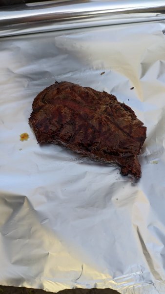 IMG_20200409_135039.jpg