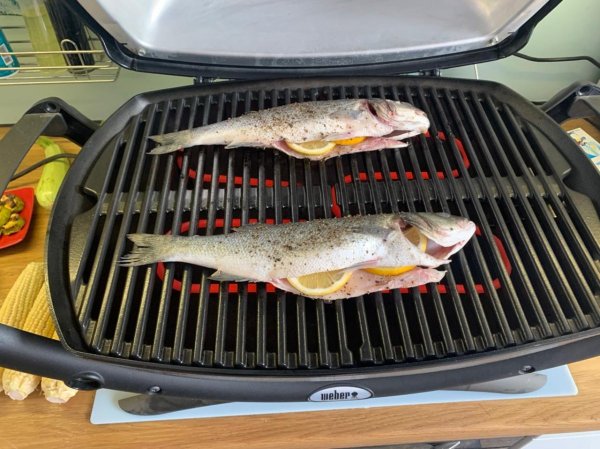 WhatsApp Image 2021-05-21 at 23.15.58 — копия.jpeg