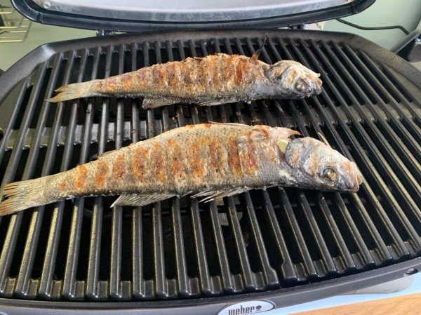 WhatsApp Image 2021-05-21 at 23.15.57 (1).jpeg