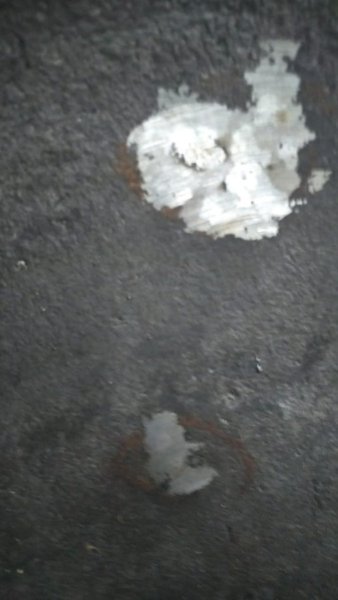 WhatsApp Image 2023-03-02 at 15.21.11.jpeg