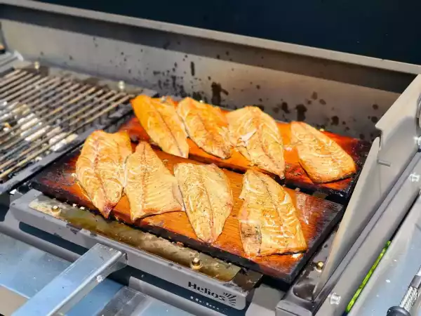 2025-06-14 12-28-55.JPG